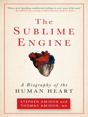 cover image of The Sublime Engine
